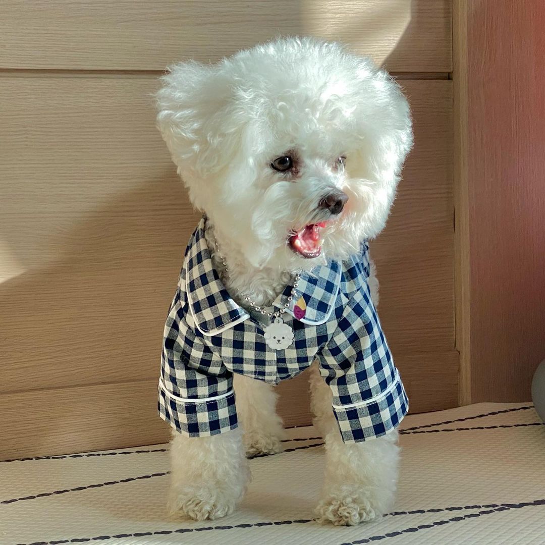 Khaki Blue Plaid Dog Pajamas