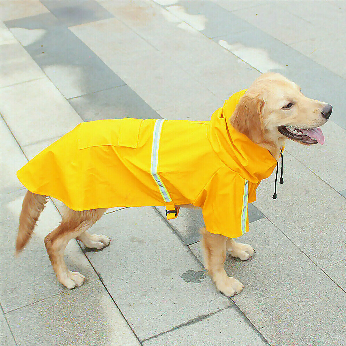 Waterproof Hooded Dog Raincoat With Leash