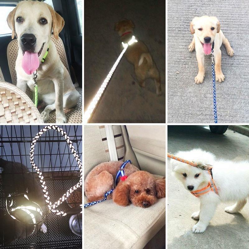Pet Dog Leash