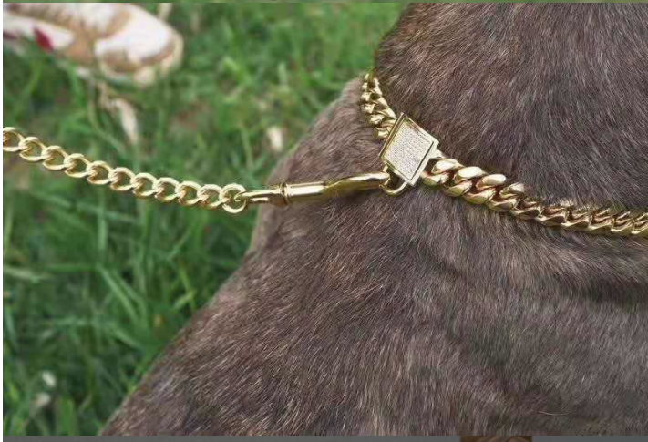 Gold Titanium Steel Dog Chain Collar