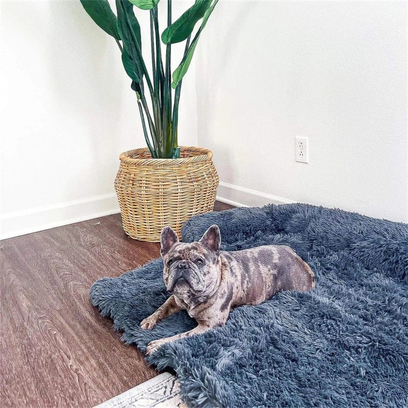 Everyday Rest Dog Bed