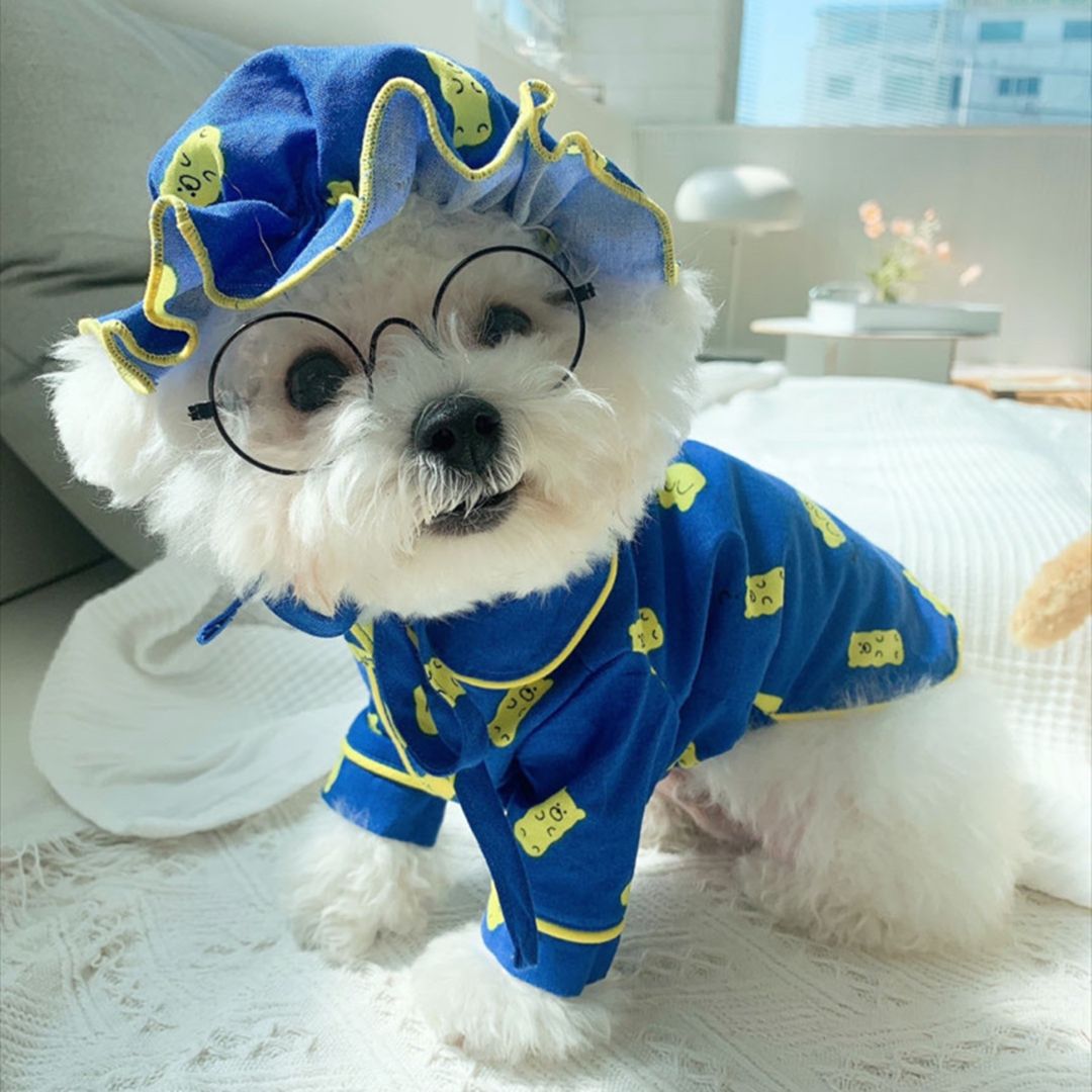Cute Bear Hat Dog Pajama Set