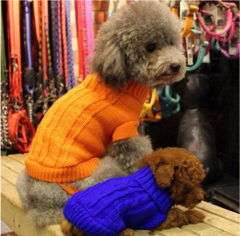 Knitted Dog Sweater With Buttons