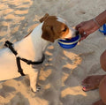 Pet Traction Rope Kettle Trash Bag