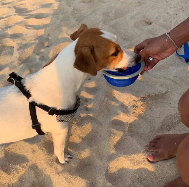 Pet Traction Rope Kettle Trash Bag