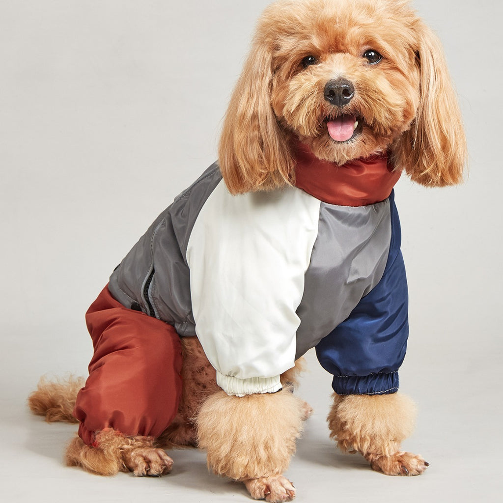 Warm Winter Cotton-Padded Large Dog Clothes