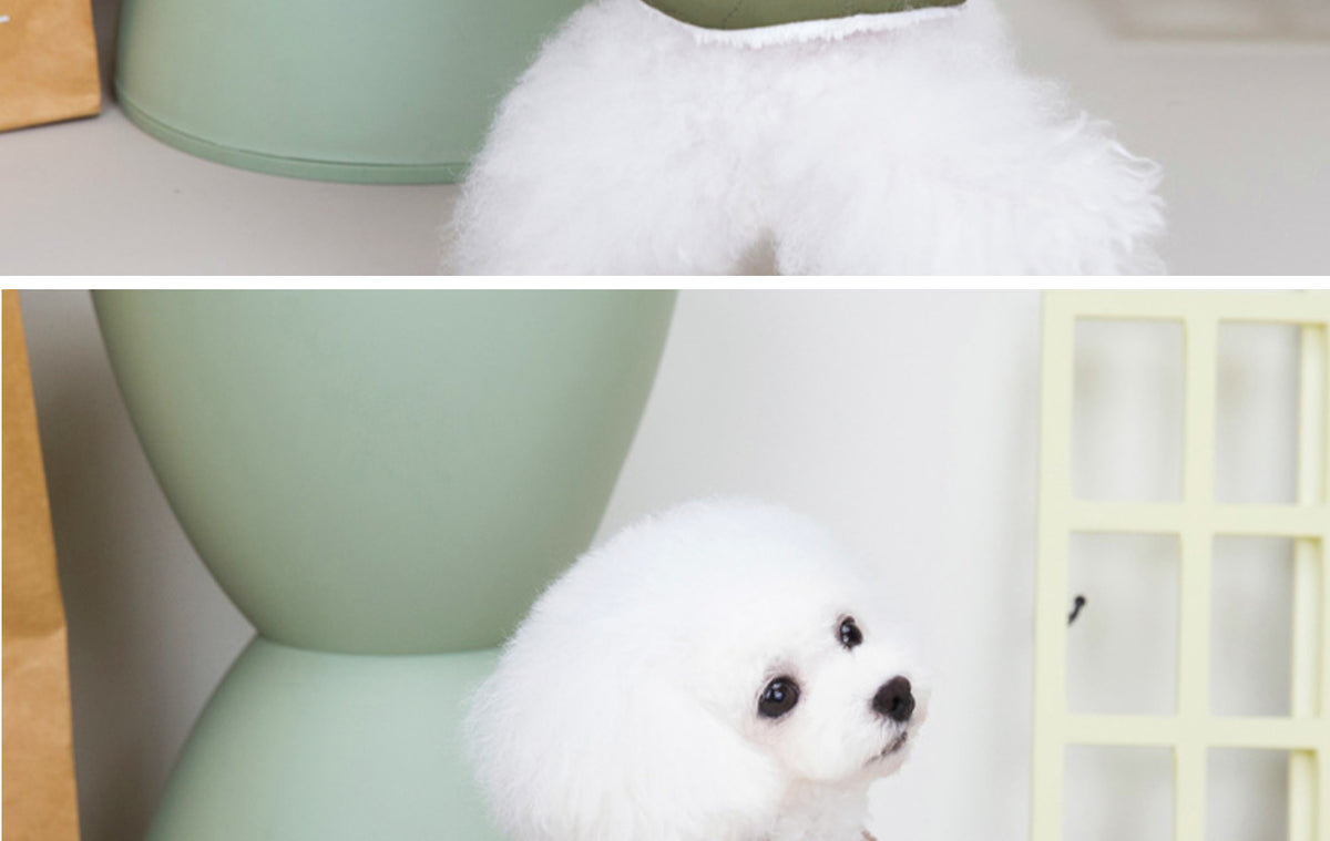 Pet Clothing Dog Legs Cotton Clothes