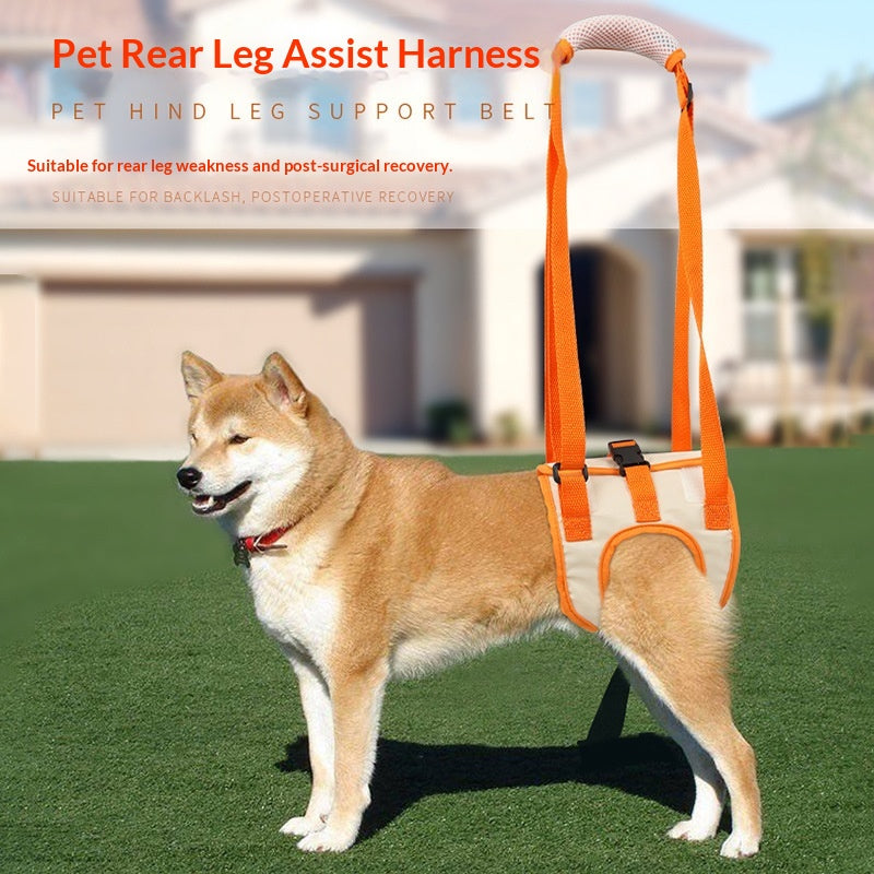 Assistive Rear-Leg Support Harness For Dogs With Disabilities