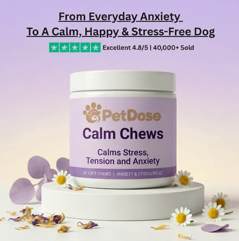 Dog Chew Toy For Chewing