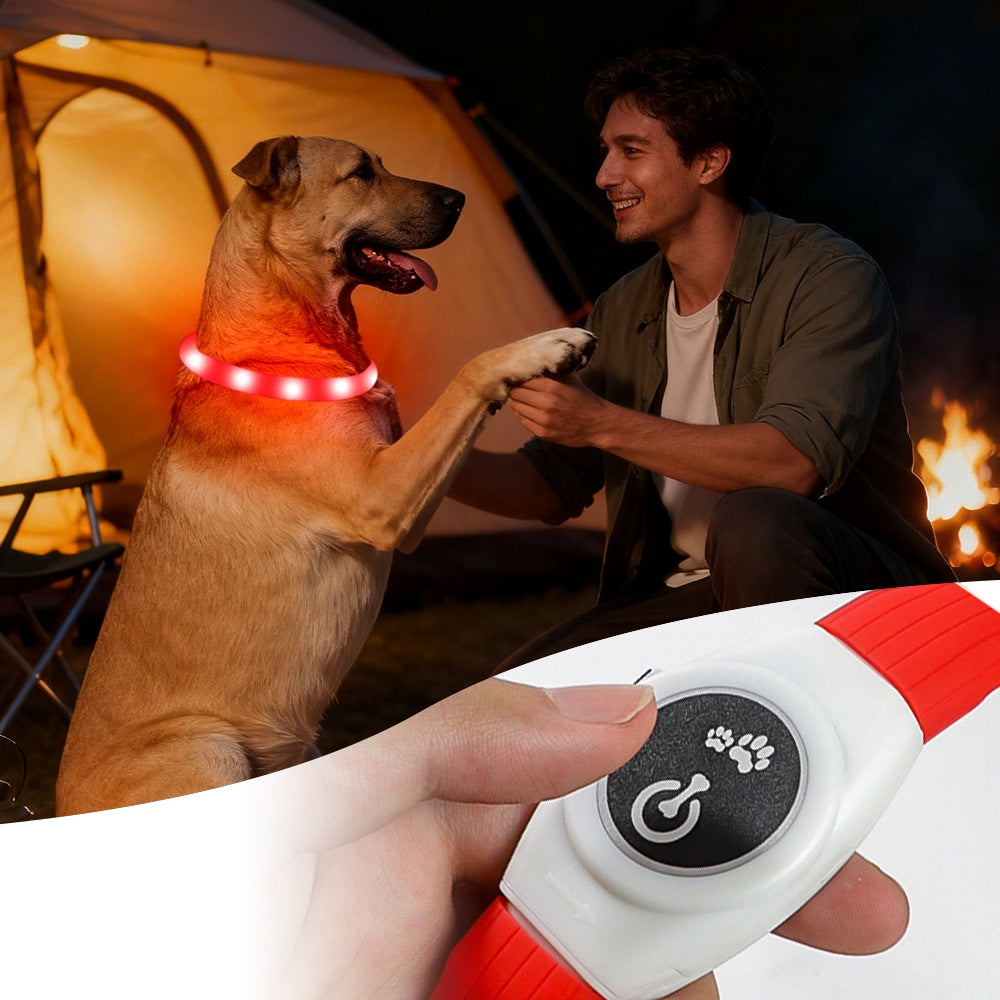 Dog Collar Pet Luminous Silicone Collar