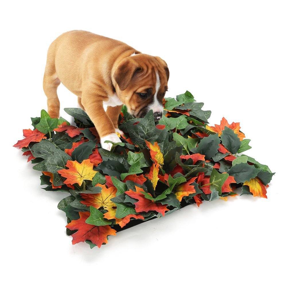 Washable Jungle Pet Sniffing Mat