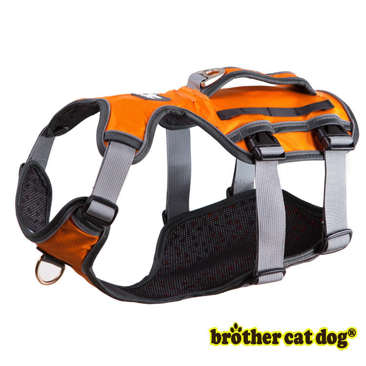 Dog Thoracolumbar Band