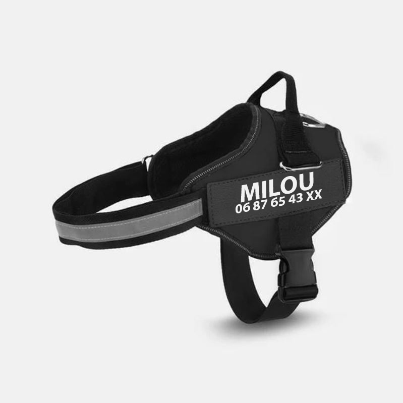 Multicolor Personalized Pet Chest Strap
