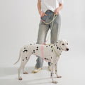 Solid Color Fashion Dog Hand Holding Rope Outdoor Dog Leash Pvc Pet Hand Holding Rope
