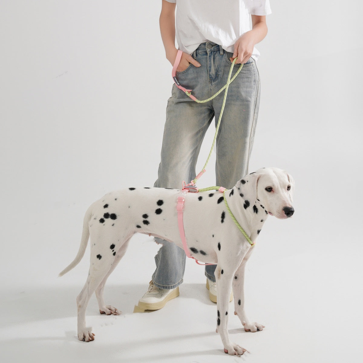 Solid Color Fashion Dog Hand Holding Rope Outdoor Dog Leash Pvc Pet Hand Holding Rope