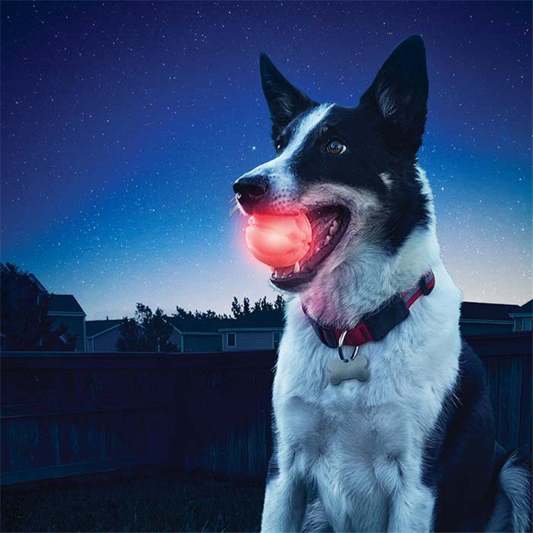LED Glowing Dog Biting Ball