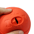 Dog Food Leaking Ball Toy