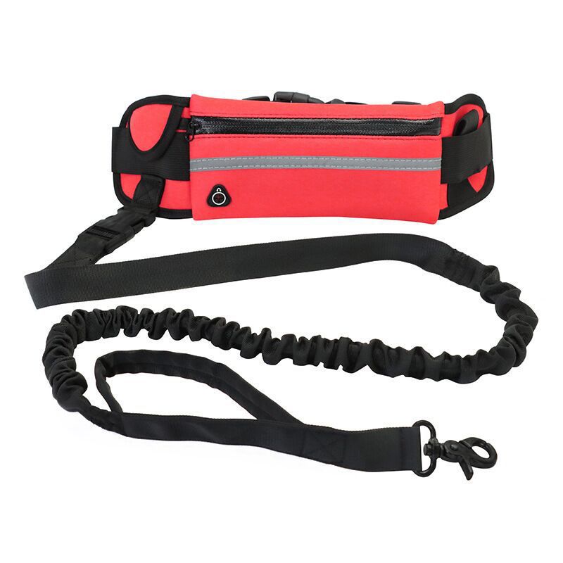 Nylon Pet Purse Leash