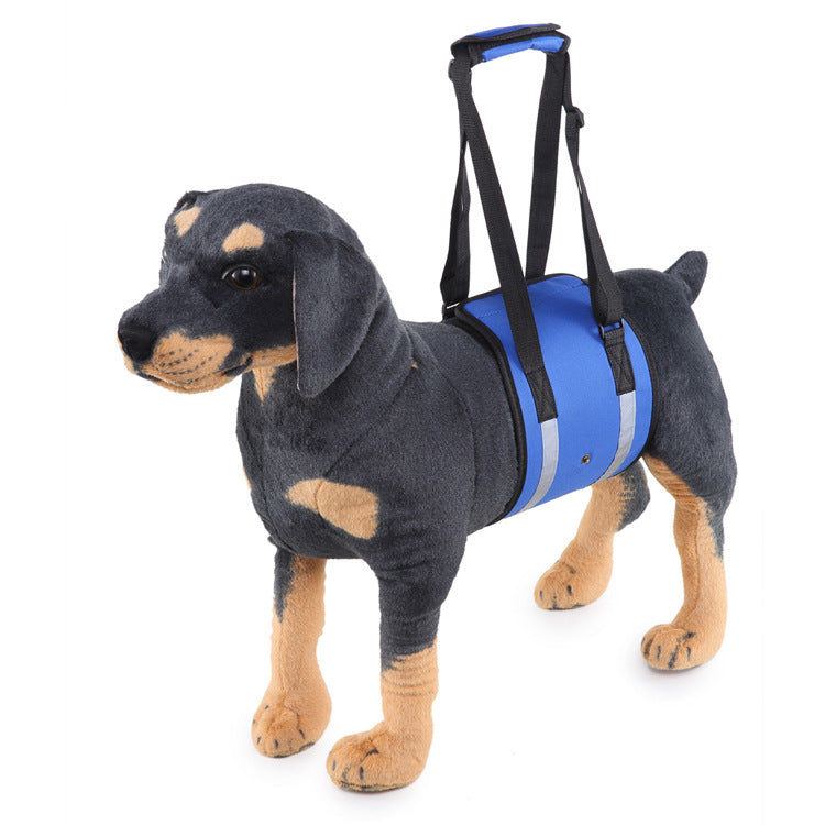 Dog Carrier With Pet-Handling Handle and Auxiliary Leash