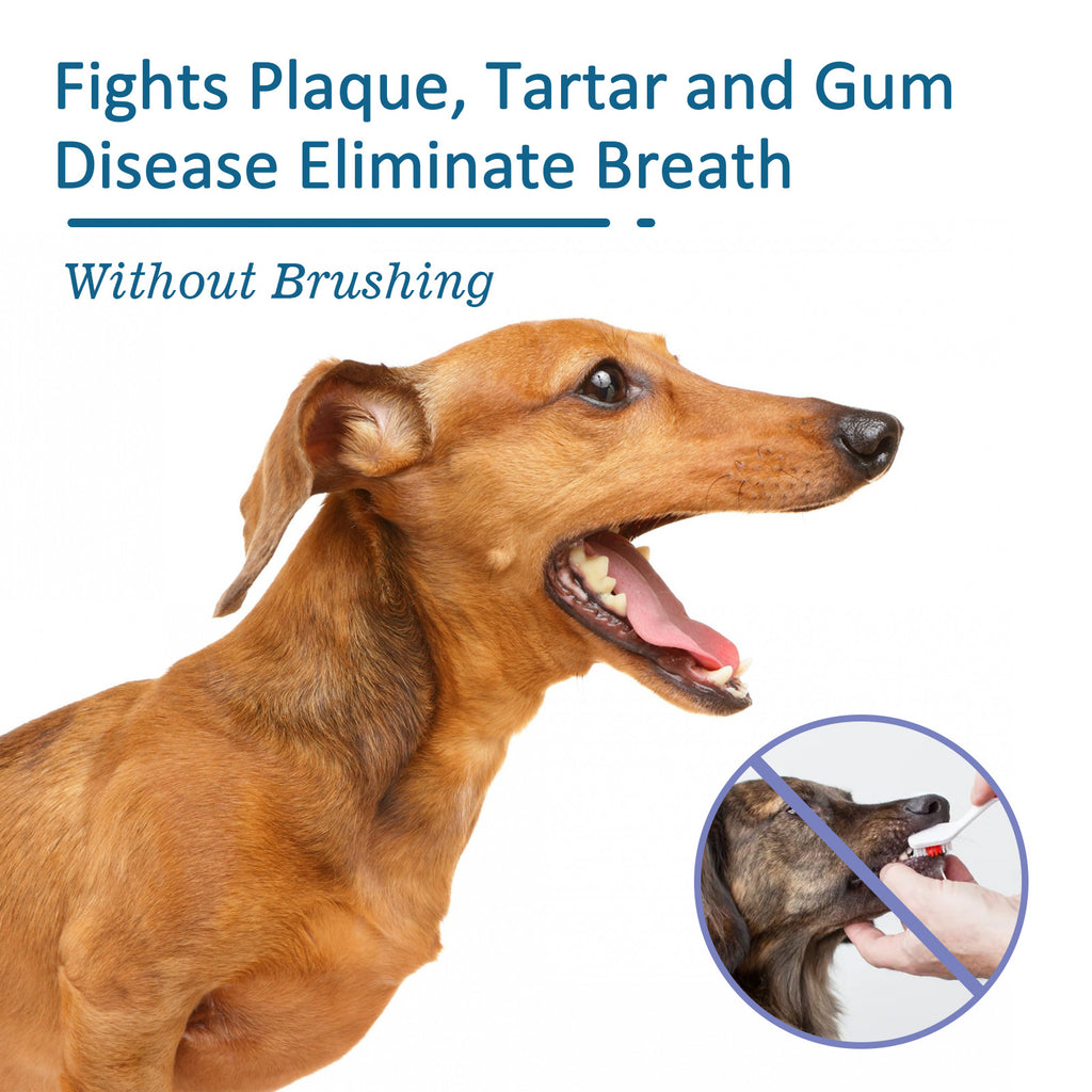 Pet Oral Spray for Teeth and Breath