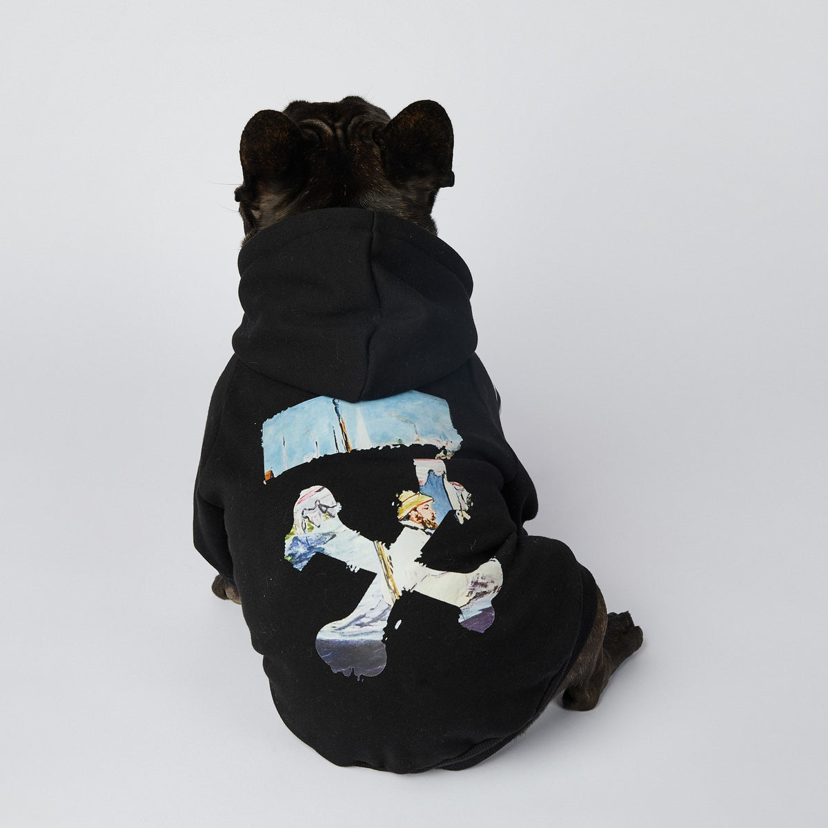 Fashion Schnauzer Dog Clothes