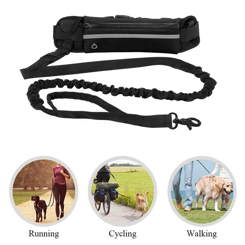 Multi-Pocket Lightweight Pet Training Leash