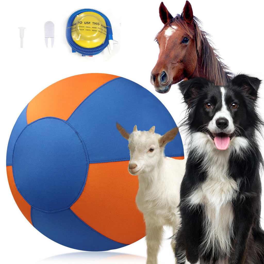 Inflatable Pet Chew Training Ball