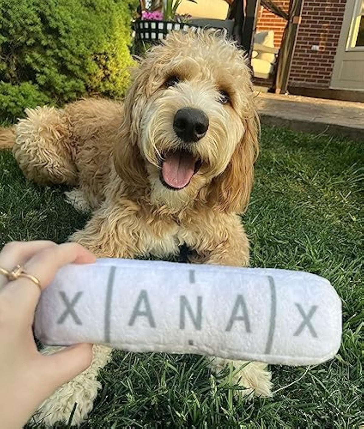 Funny Dog Toy Parody Plush Squeaky Crinkle Dog Toy