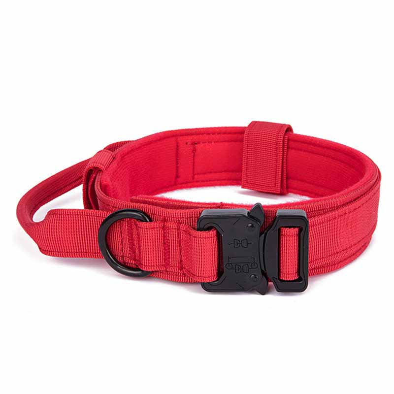 Simple Solid Color Outdoor Traction Pet Collar