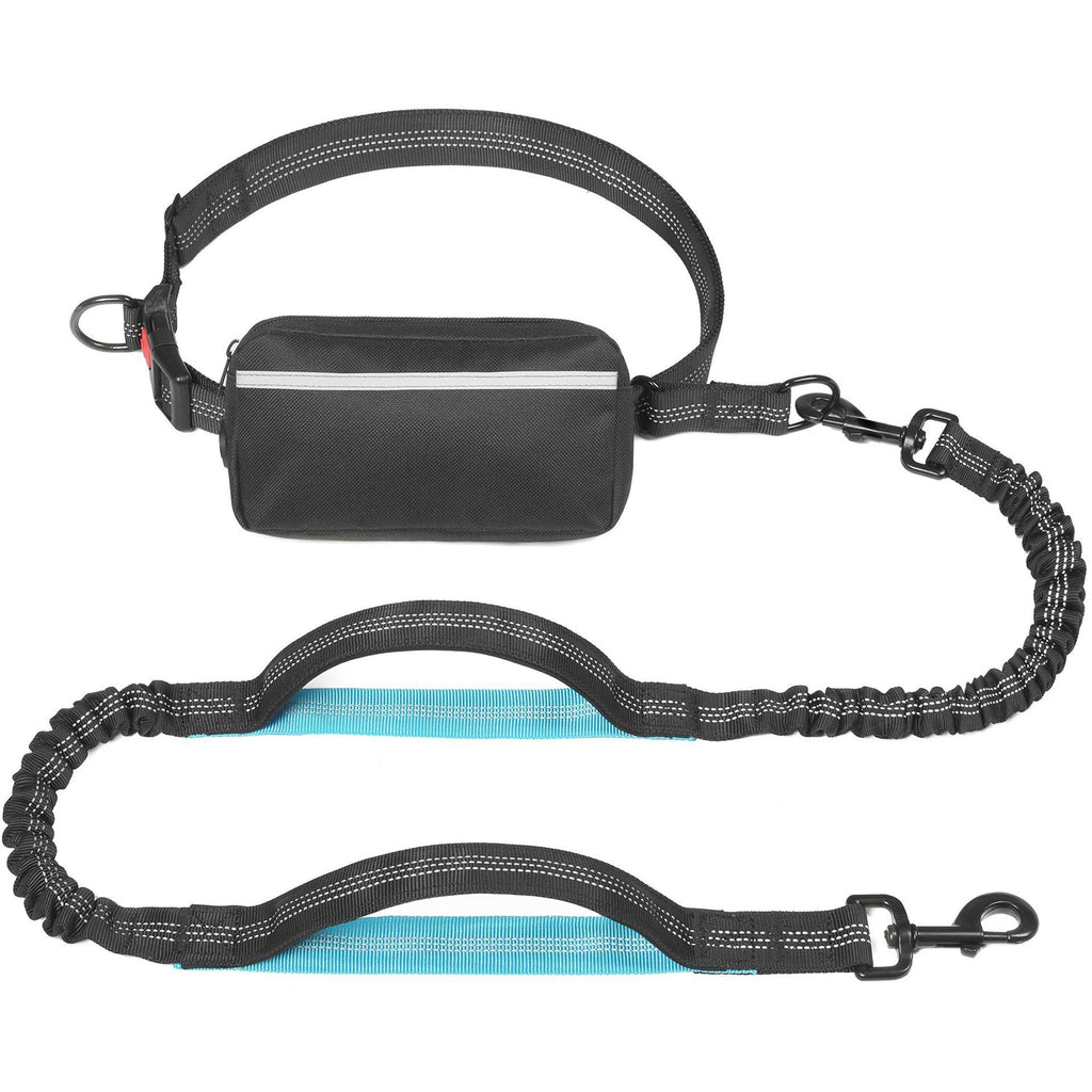 Multifunctional Dog Leash Waist Bag Pet Set