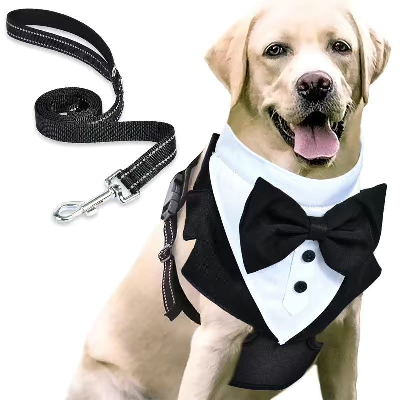Integrated Chest Strap Harness With Hand Rope