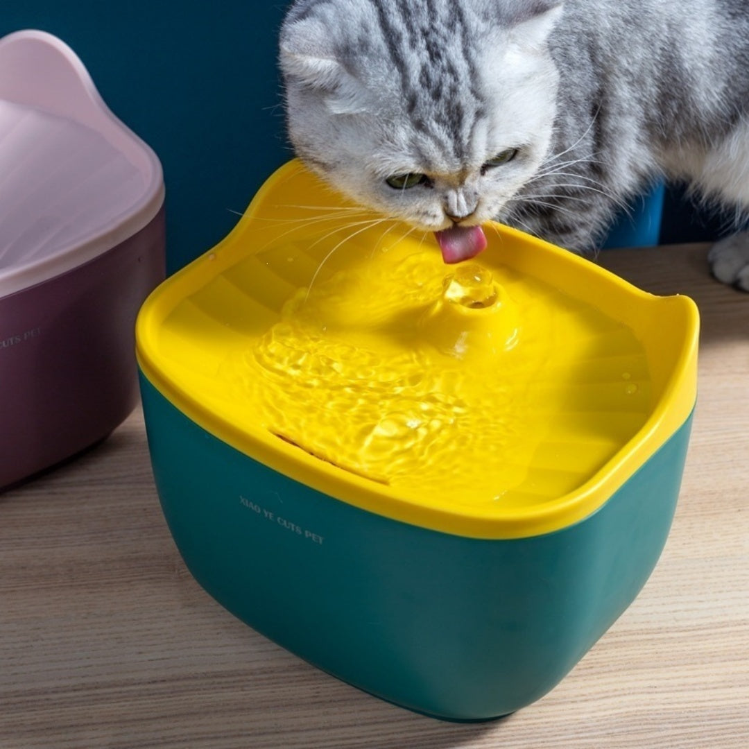 Smart Quiet Circulating Pet Water Fountain