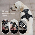 Lightweight Dual-Use Dog Harness For Car Traction