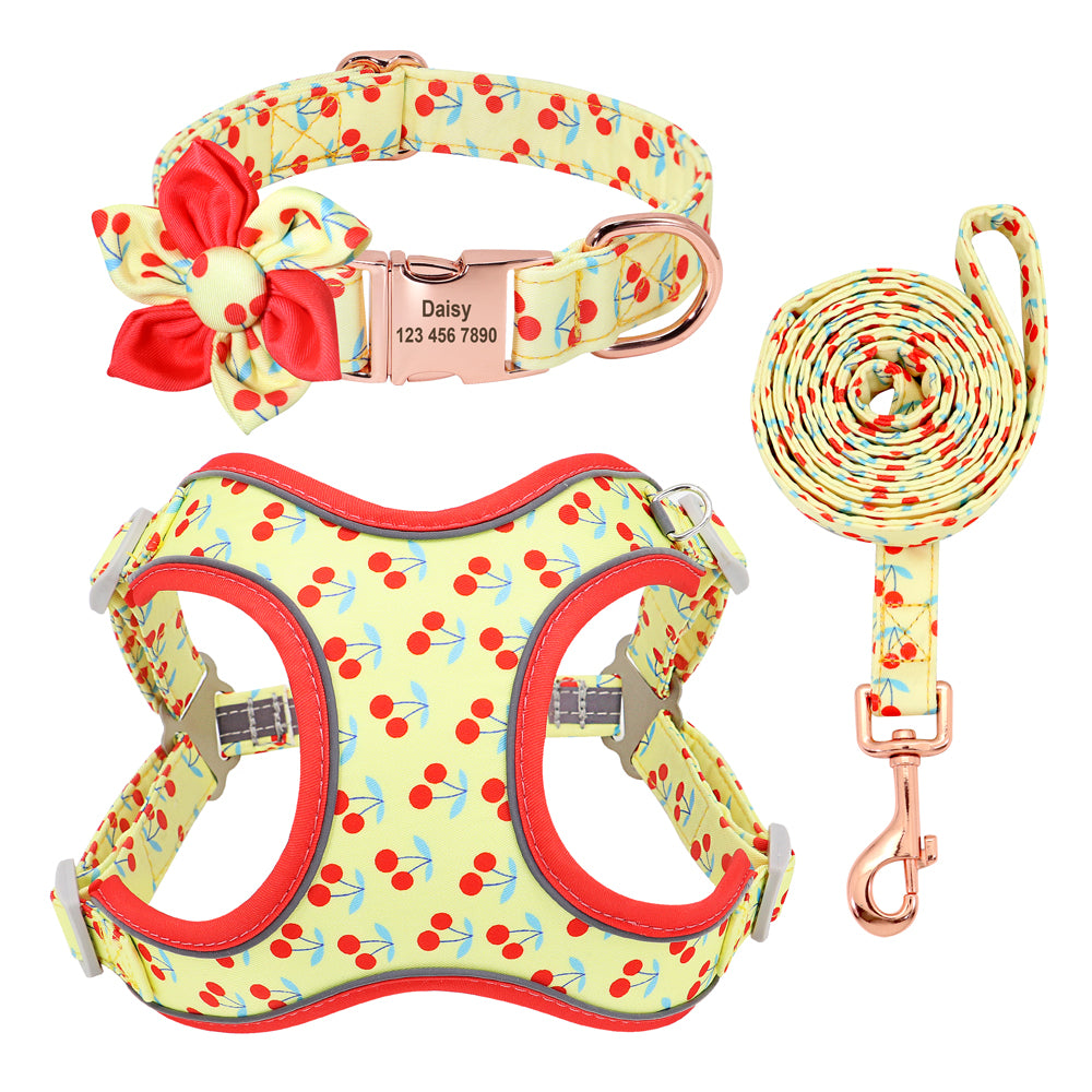 Dog Collar Leash And Strap Set