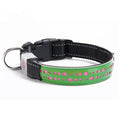 Luminous Embossed Collar Teddy Bichon Universal Led Carving
