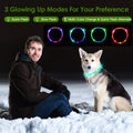 USB Rechargeable Multi-Color LED Dog Collar