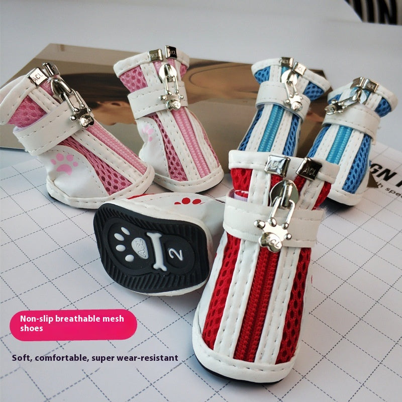 Vip Teddy Schnauzer Zipper Pet Sneaker