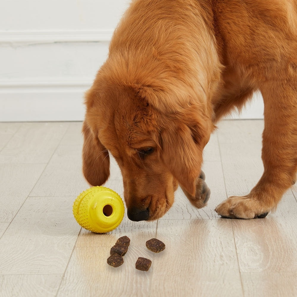 Rubber Treat-Dispensing Dog Toy