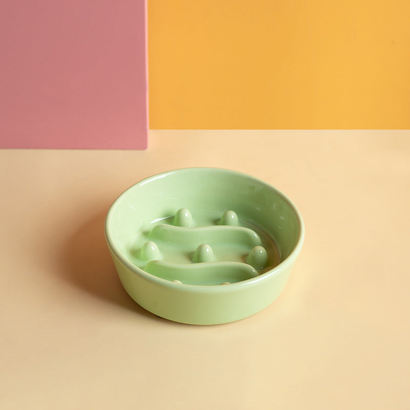 Ceramic Slow-Feeding Pet Bowl