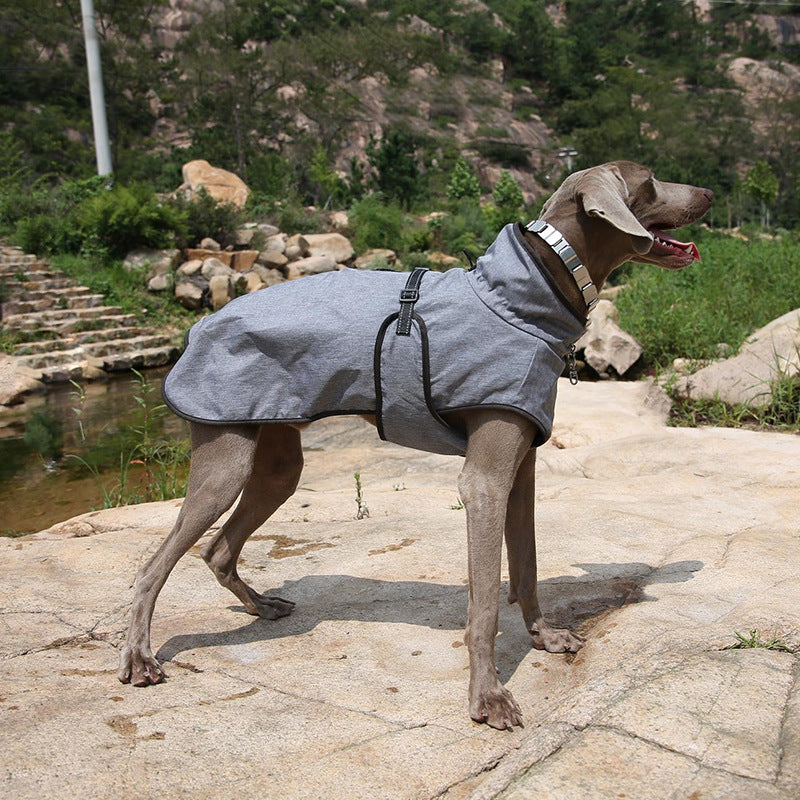 Winter Dog Ski Shell Jacket
