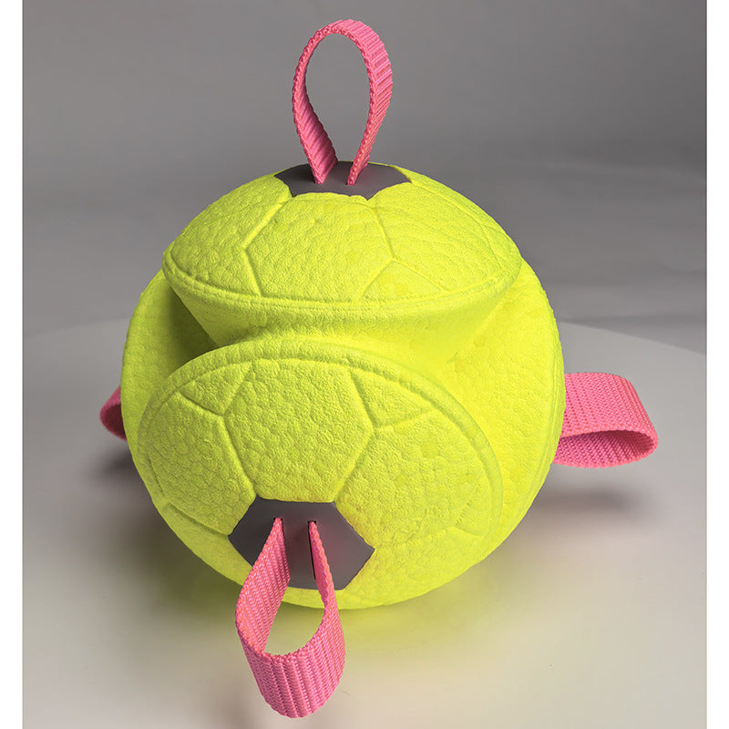 Durable Interactive Dog Toy Ball