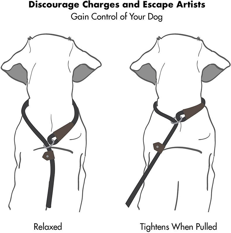 Dog Nylon Tow Rope Pull-Resistant P Chain Round Rope Walking Single Dog Leash Dog Chain