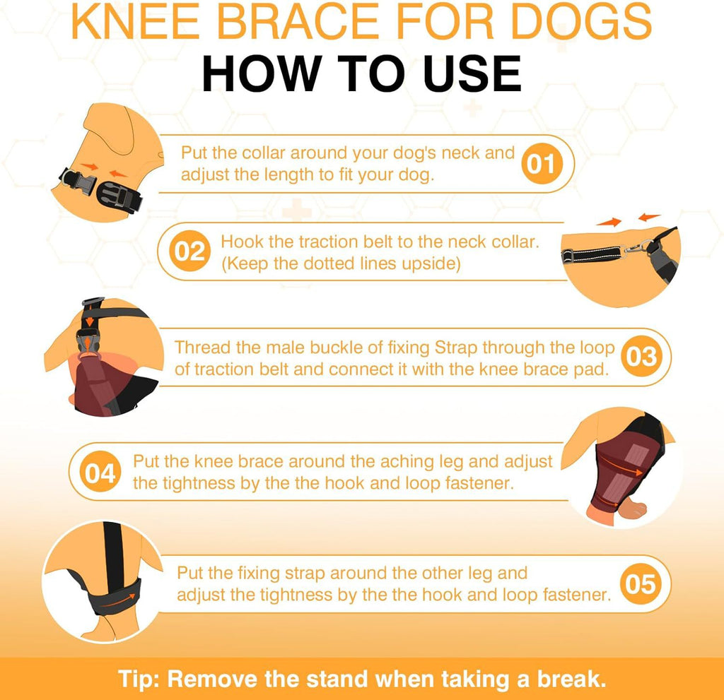 Dog Leg Protector with Knee Brace