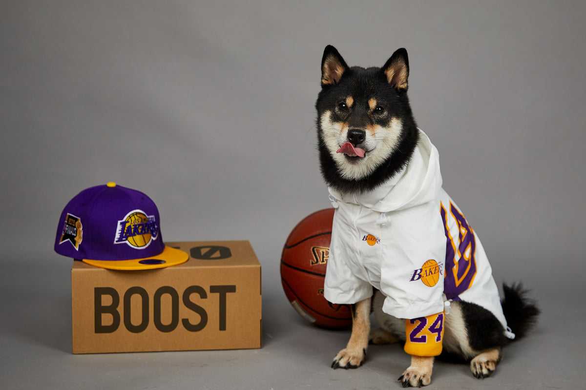 Polyester Dog Shell Jacket