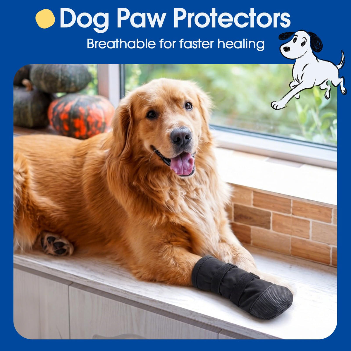 Breathable Dog Recovery Boot For Injured Paws