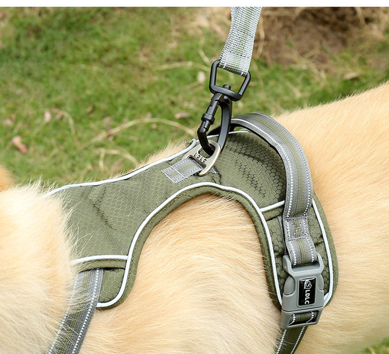 Fluorescent Pet Explosion-Proof Punch Elastic Retractable Dog Leash