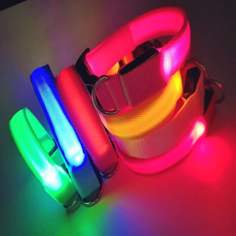 USB-Charging Glow-in-the-Dark Dog Collar