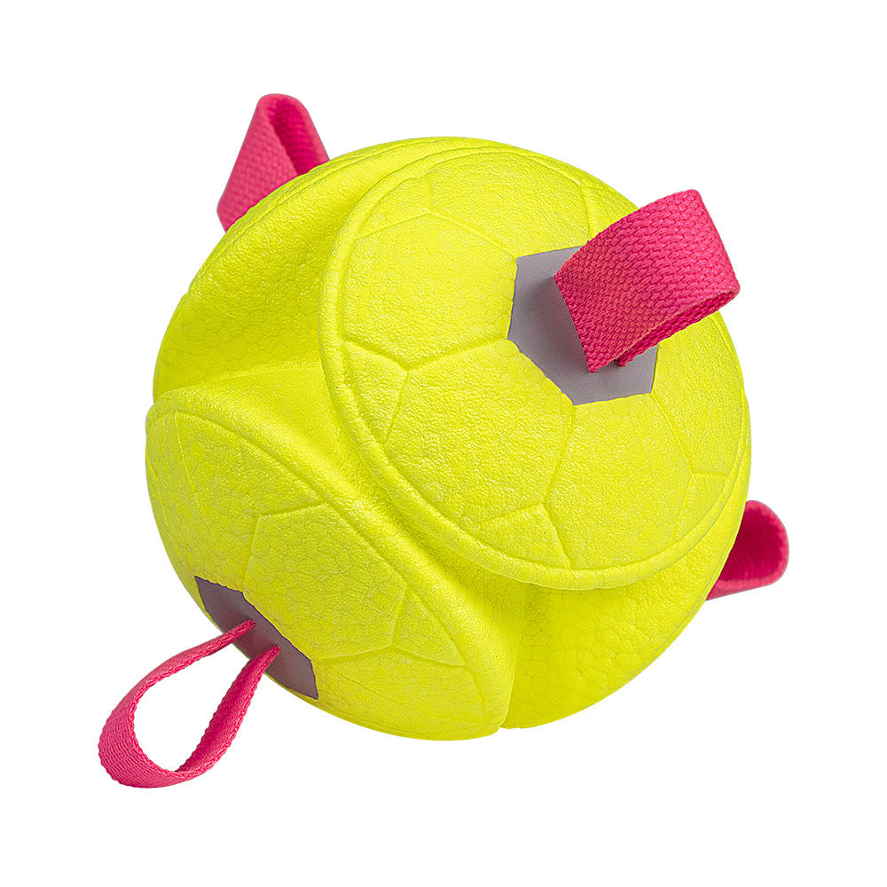 Durable Interactive Dog Toy Ball