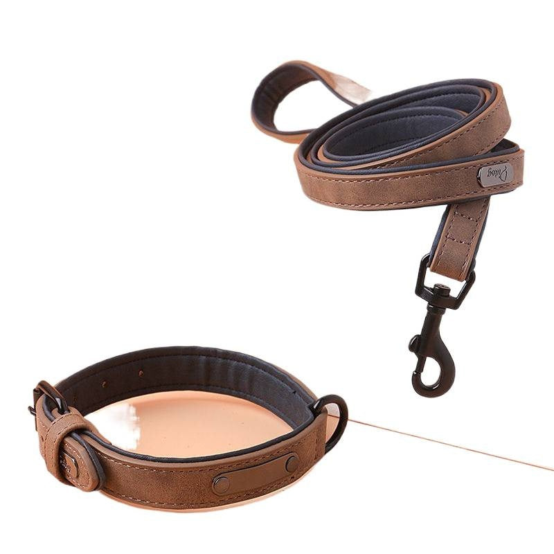 Engraved Anti-Loss Adjustable Pet Dog Collar