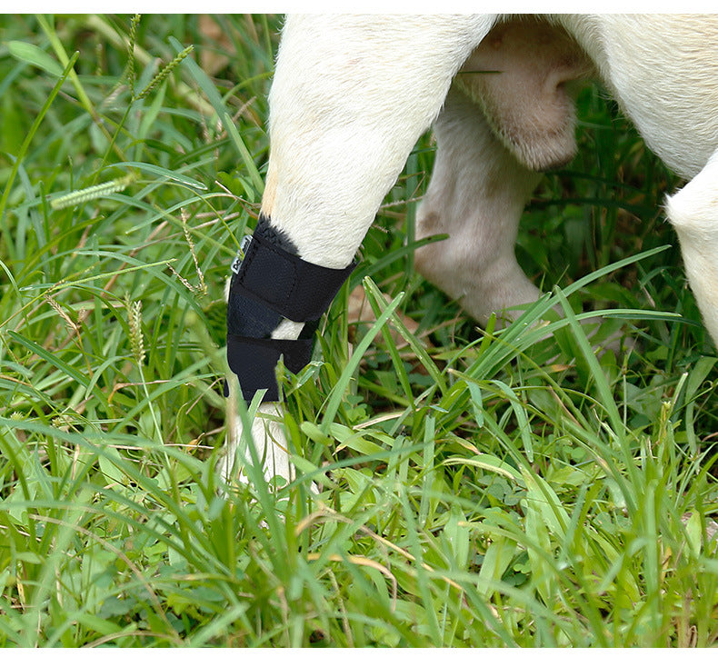 Dog Injured Anti-Lick Joint Fixation And Recovery Auxiliary Strap